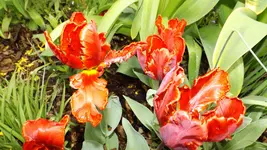 DSCF1643.webp