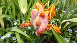 DSCF1644.webp