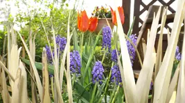 DSCF1645.webp
