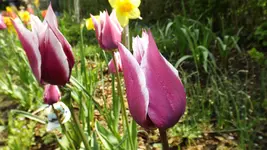 DSCF1650.webp