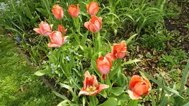 DSCF1651.webp