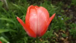 DSCF1653.webp