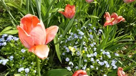 DSCF1683.webp