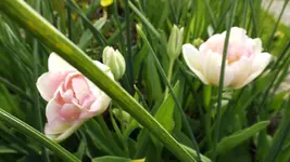 DSCF1688.webp