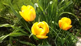 DSCF1692.webp