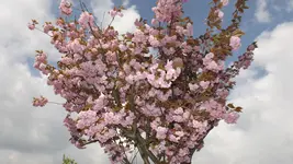 DSCF1605.webp