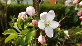 DSCF1609.webp