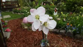 DSCF1613.webp