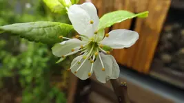 DSCF1615.webp