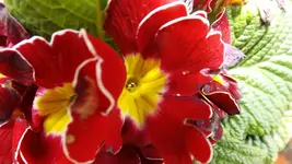 DSCF1611.webp