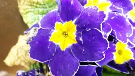 DSCF1612.webp