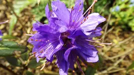 DSCF1618.webp