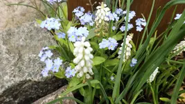 DSCF1614.webp