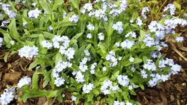 DSCF1616.webp