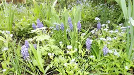 DSCF1640.webp