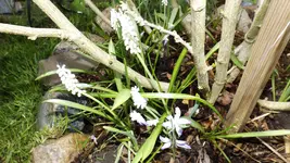 DSCF1658.webp