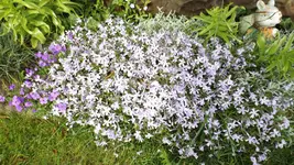 DSCF1691.webp