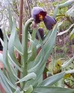 20150430_175323.webp