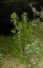 20150502_004846.webp 20150502_004846.webp