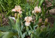 IMG_7078.webp