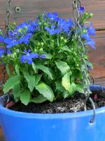 CIMG0163.webp