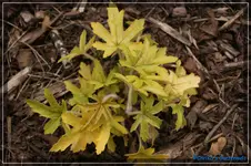 comp_DSC03282.webp