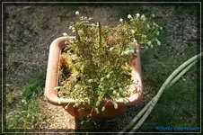 comp_DSC03285.webp