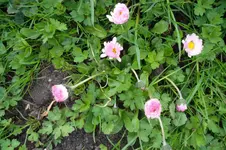SAM_0636.webp