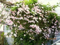 IMG_4395.webp