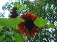 DSC03689.webp