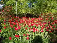 100_5976.webp