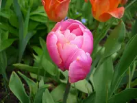 DSCI3274.webp
