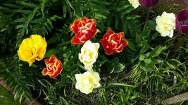 20150503_171157.webp