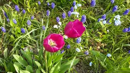 20150503_171054.webp