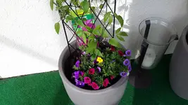 20150503_170959.webp