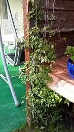 20150503_171253.webp