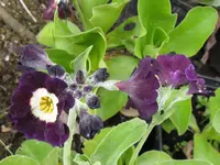 004_1024x768.webp