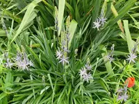 k-P1080942.webp