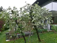 k-P1080983.webp