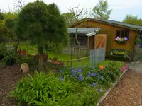 004.webp