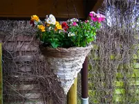 011.webp