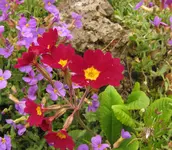 IMG_5690A.webp