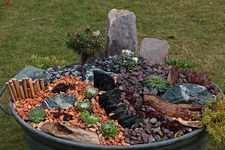Zinkwanne bepflanzt2_640.webp