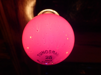 P1350700.webp