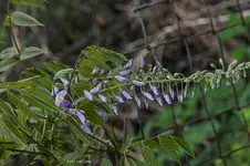 IMG_7122.jpg
