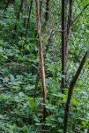IMG_7129.jpg