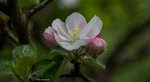 IMG_7142.jpg