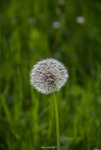 IMG_7144.jpg