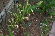 IMG_7157.webp