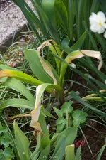IMG_7176.webp